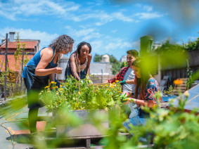 Comprar casa vai muito além do imóvel: a importância da comunidade e do ambiente