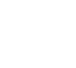 Future Procedure Logo